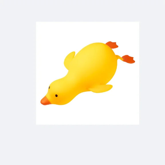 Squishy Duck